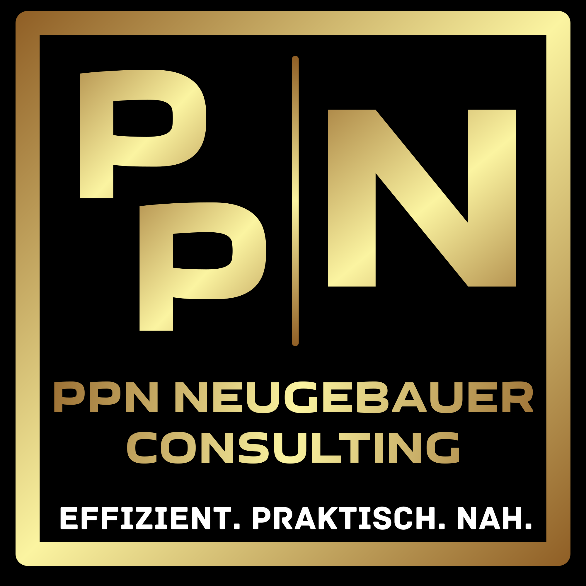 PPN Neugebauer Consulting
